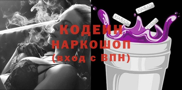 спиды Вяземский