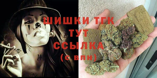 спиды Вяземский