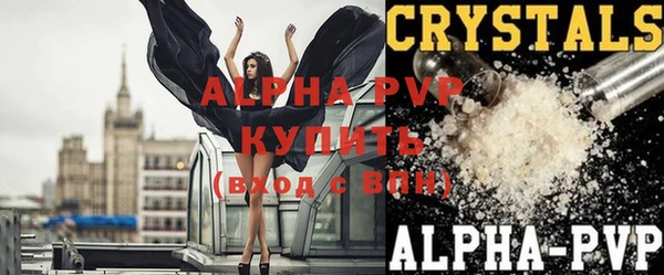 прущие крисы Горняк