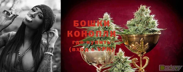 спиды Вяземский